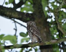 4 Zu Beginn der Daemmerung